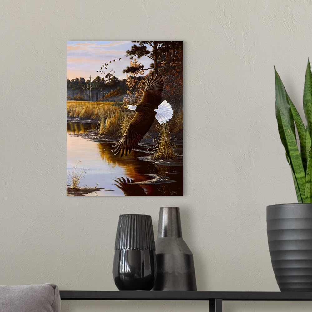 A modern room featuring Bald eagle flying over a swamp at sunrise.