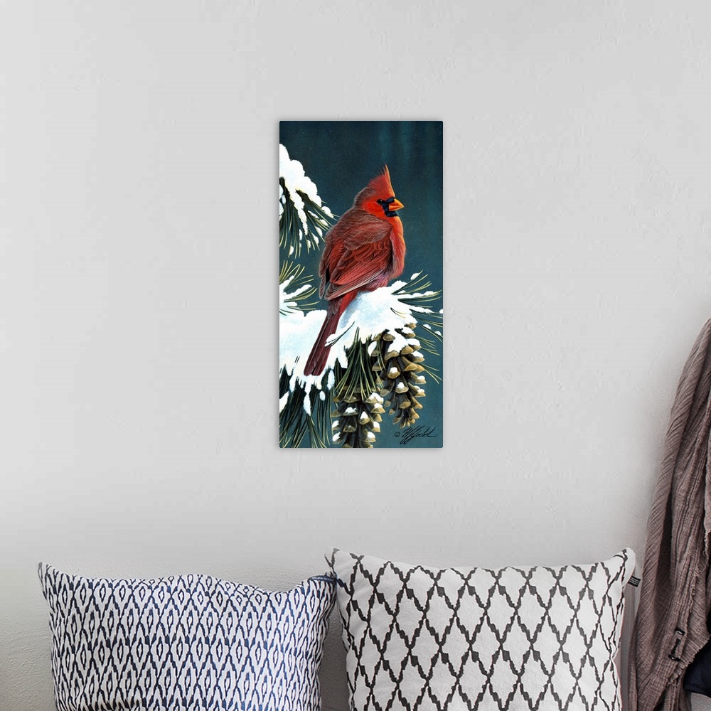 A bohemian room featuring Cardinal on a snowy branch.