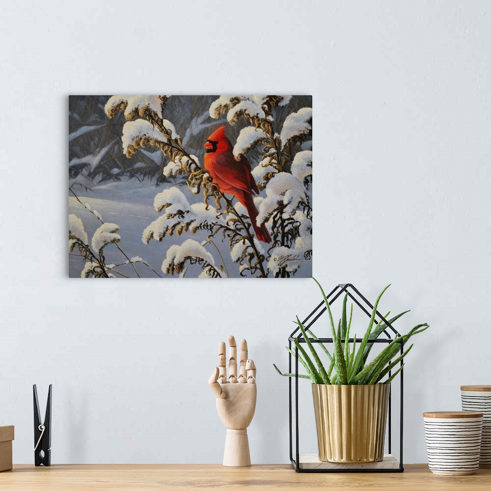 A bohemian room featuring Winter Cardinal