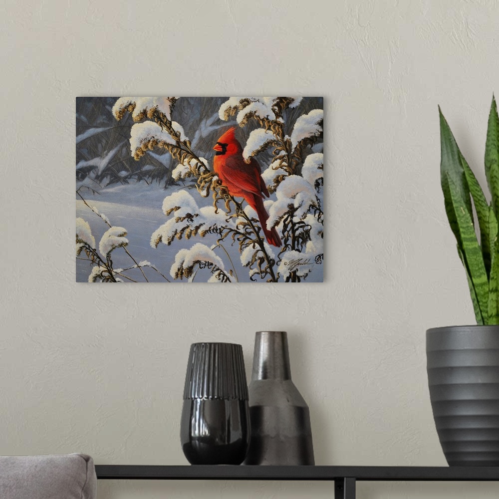 A modern room featuring Winter Cardinal