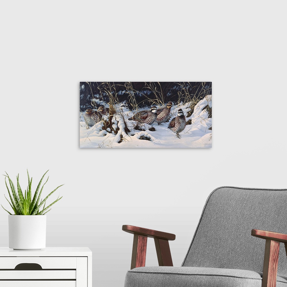 A modern room featuring A group of quail in the snow.
