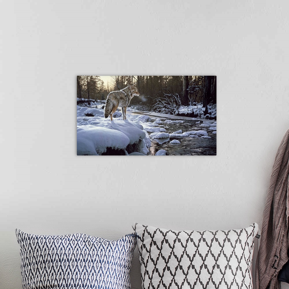 A bohemian room featuring A coyote stands on a ledge looking over a winter creek.