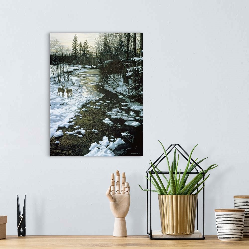 A bohemian room featuring Two white tails stand alongside a winter creek.