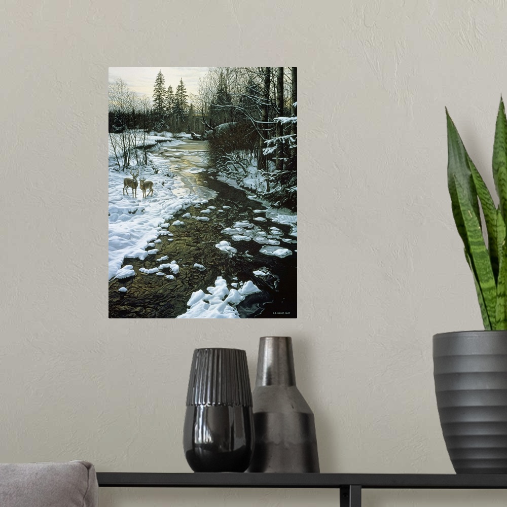 A modern room featuring Two white tails stand alongside a winter creek.