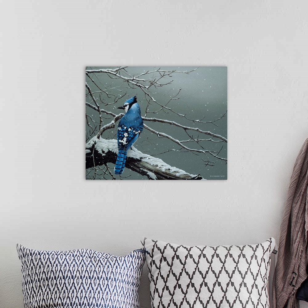 A bohemian room featuring A blue jay on a snow covered limb.