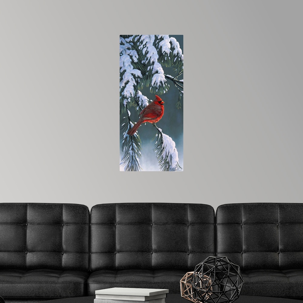 A modern room featuring Cardinal on a snowy branch.