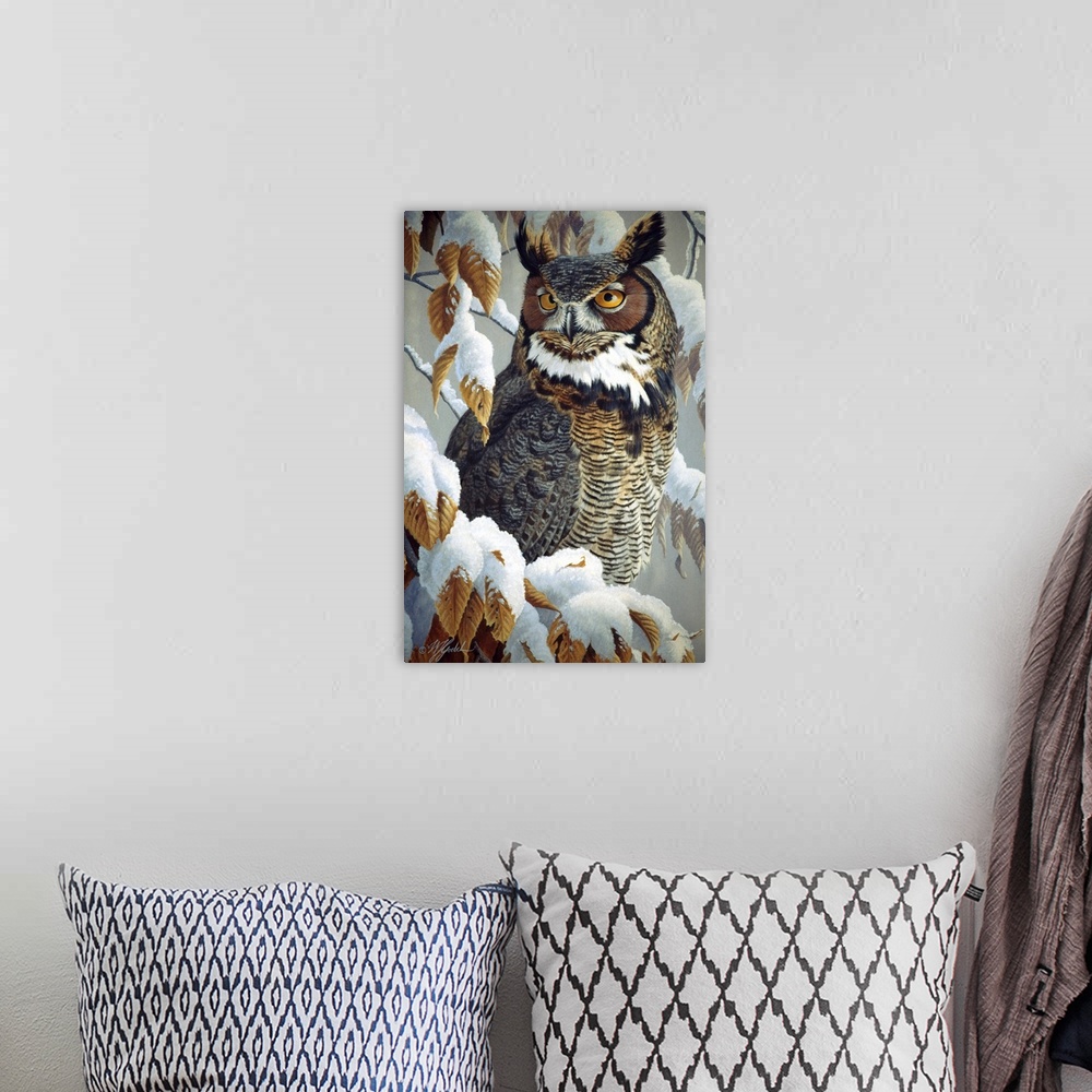 A bohemian room featuring Great horned owl sitting in a snowy tree.