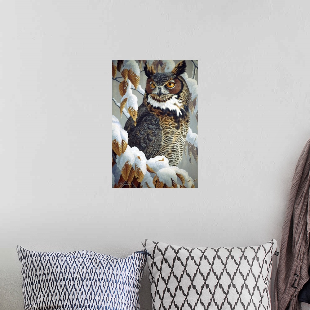 A bohemian room featuring Great horned owl sitting in a snowy tree.
