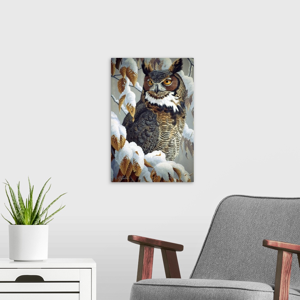 A modern room featuring Great horned owl sitting in a snowy tree.