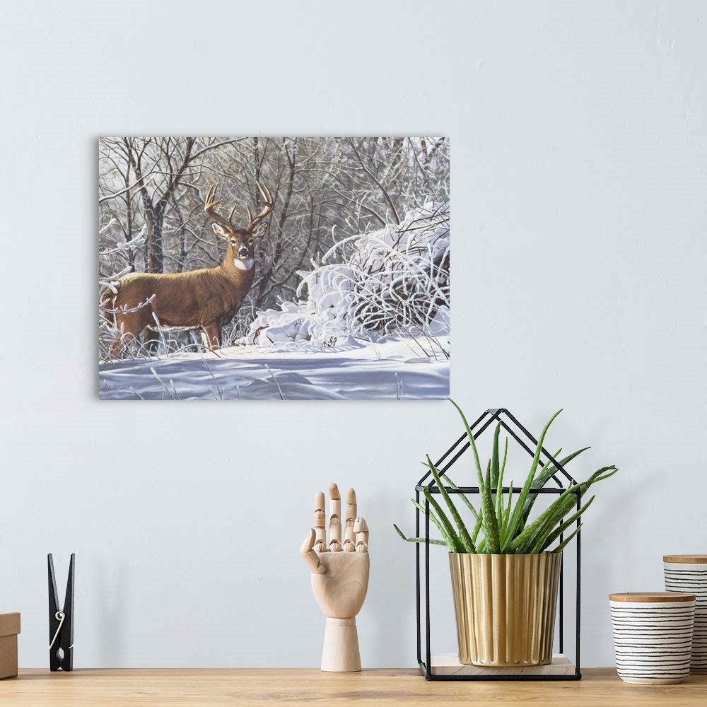 A bohemian room featuring Buck standing in the snow deer.
