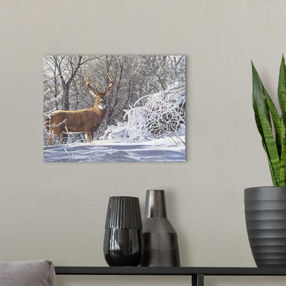 A modern room featuring Buck standing in the snow deer.