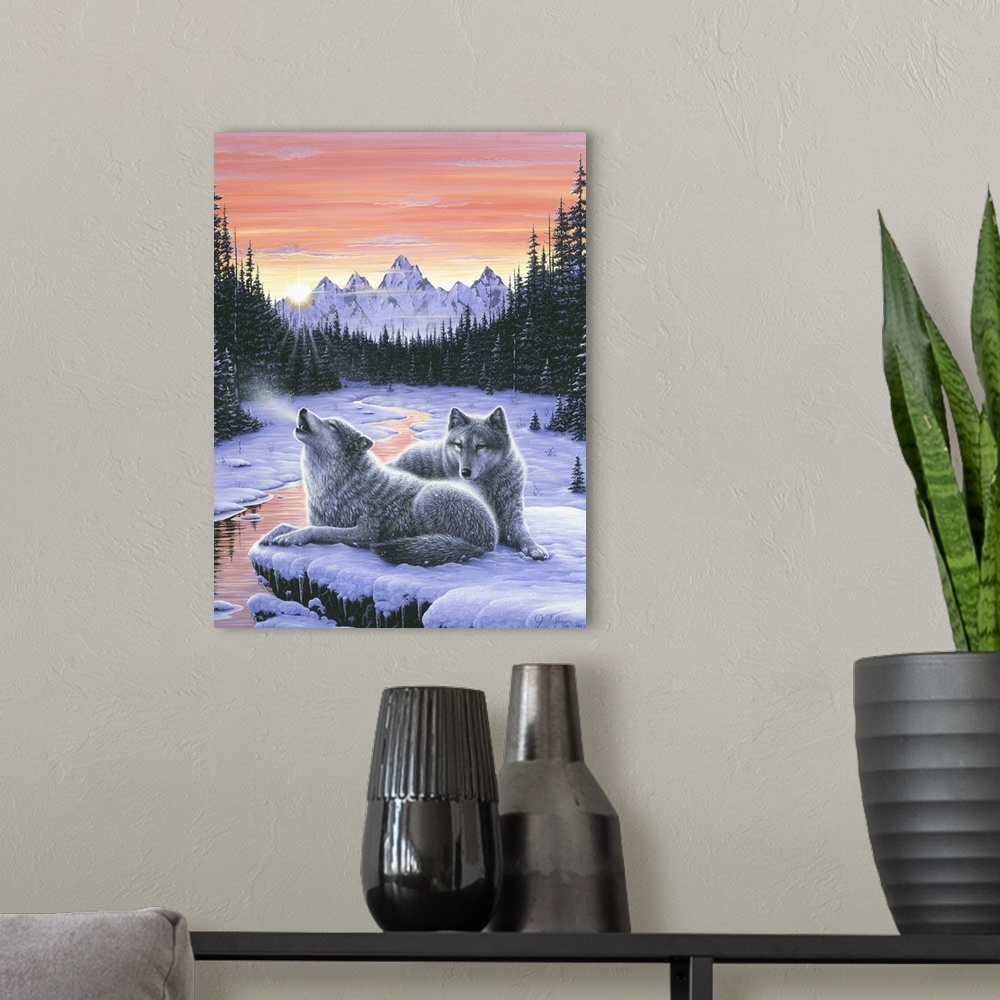 A modern room featuring a pair of wolves lying on a snow covered rock over looking a stream with snow covered pines and m...