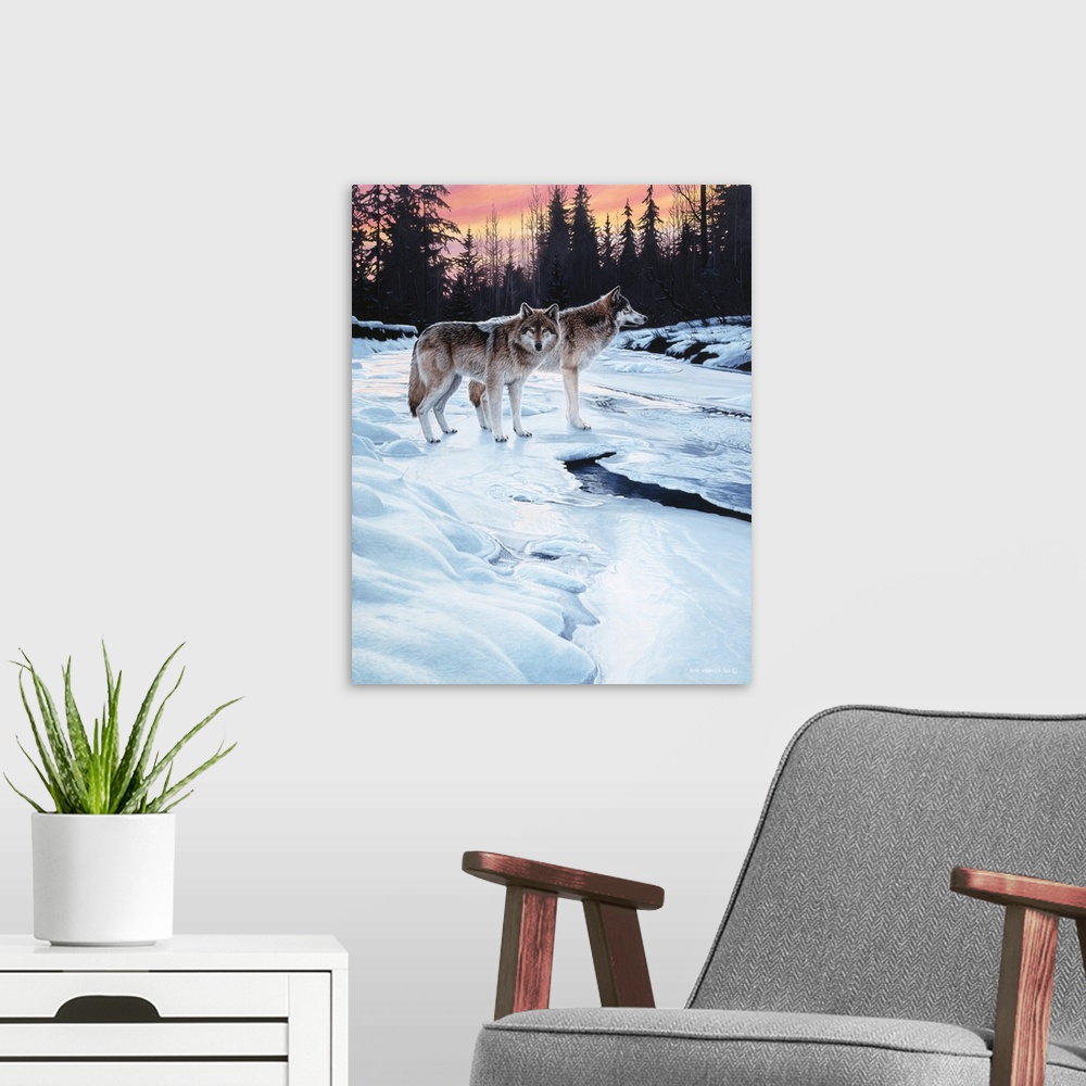 A modern room featuring Two wolves standing next to a small snow covered stream.