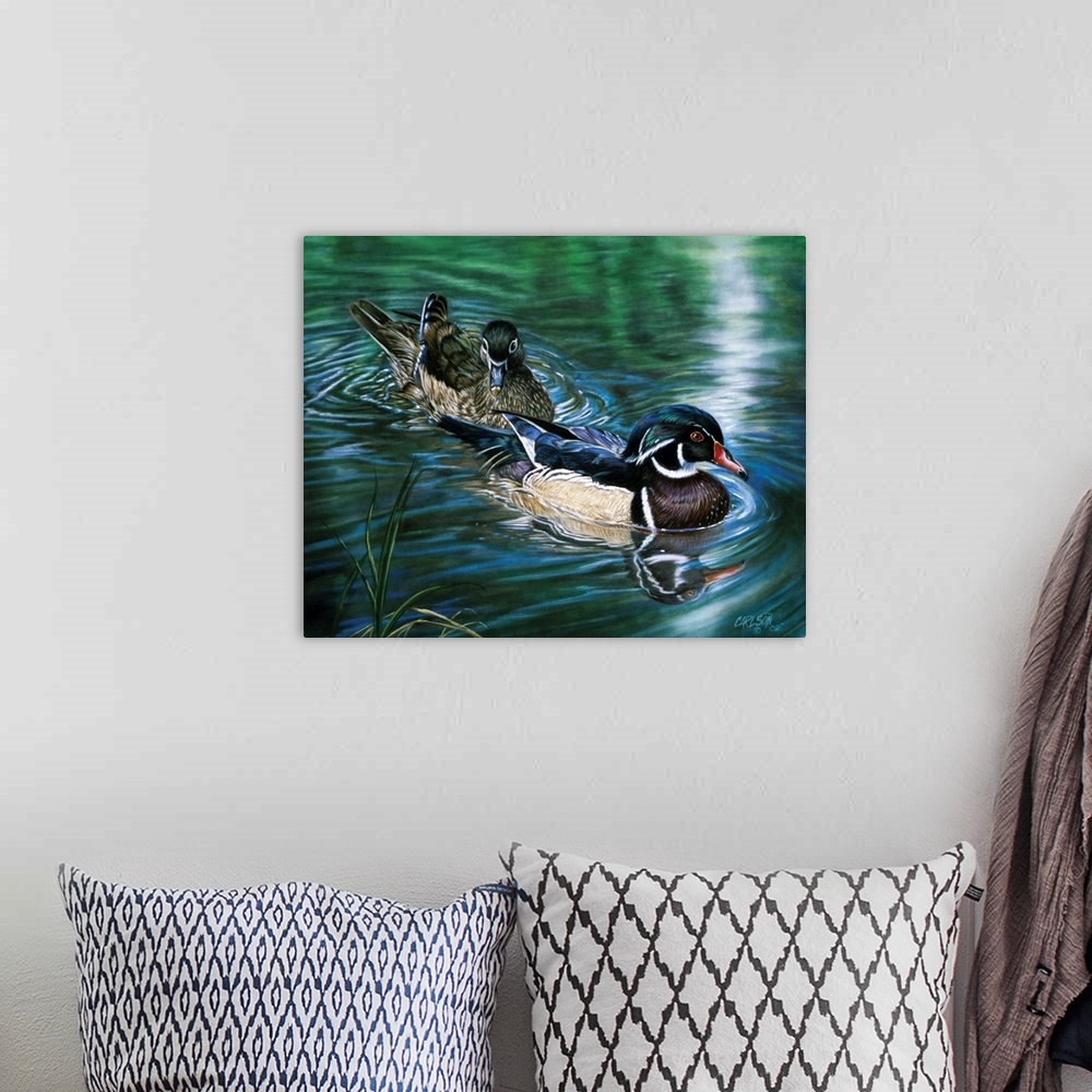A bohemian room featuring male and female wood duck