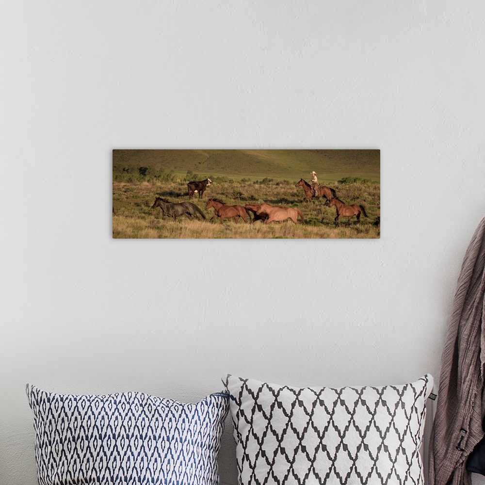 A bohemian room featuring Photograph of a cowgirl in a field with horses and cattle.