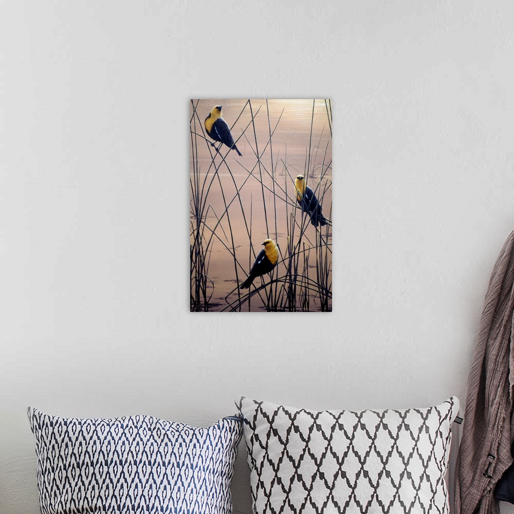 A bohemian room featuring three yellow headed birds perched on sprigs of grass in a swamp