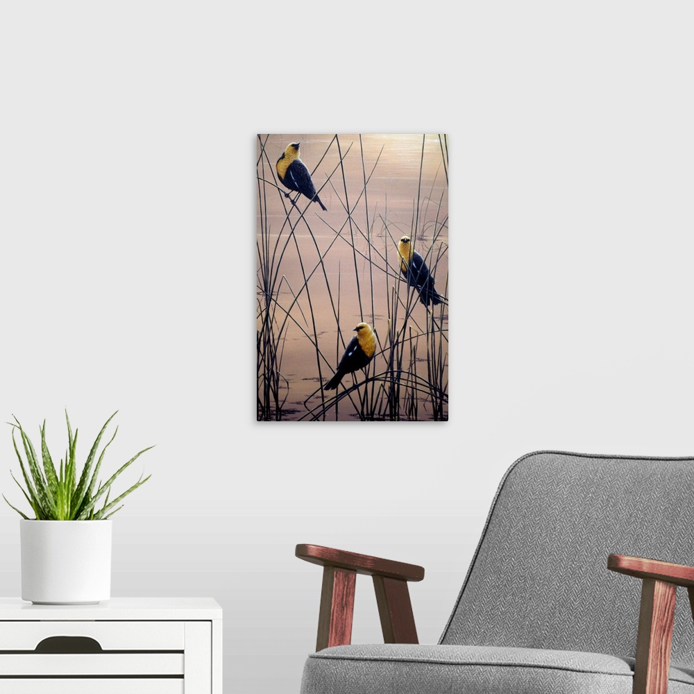 A modern room featuring three yellow headed birds perched on sprigs of grass in a swamp