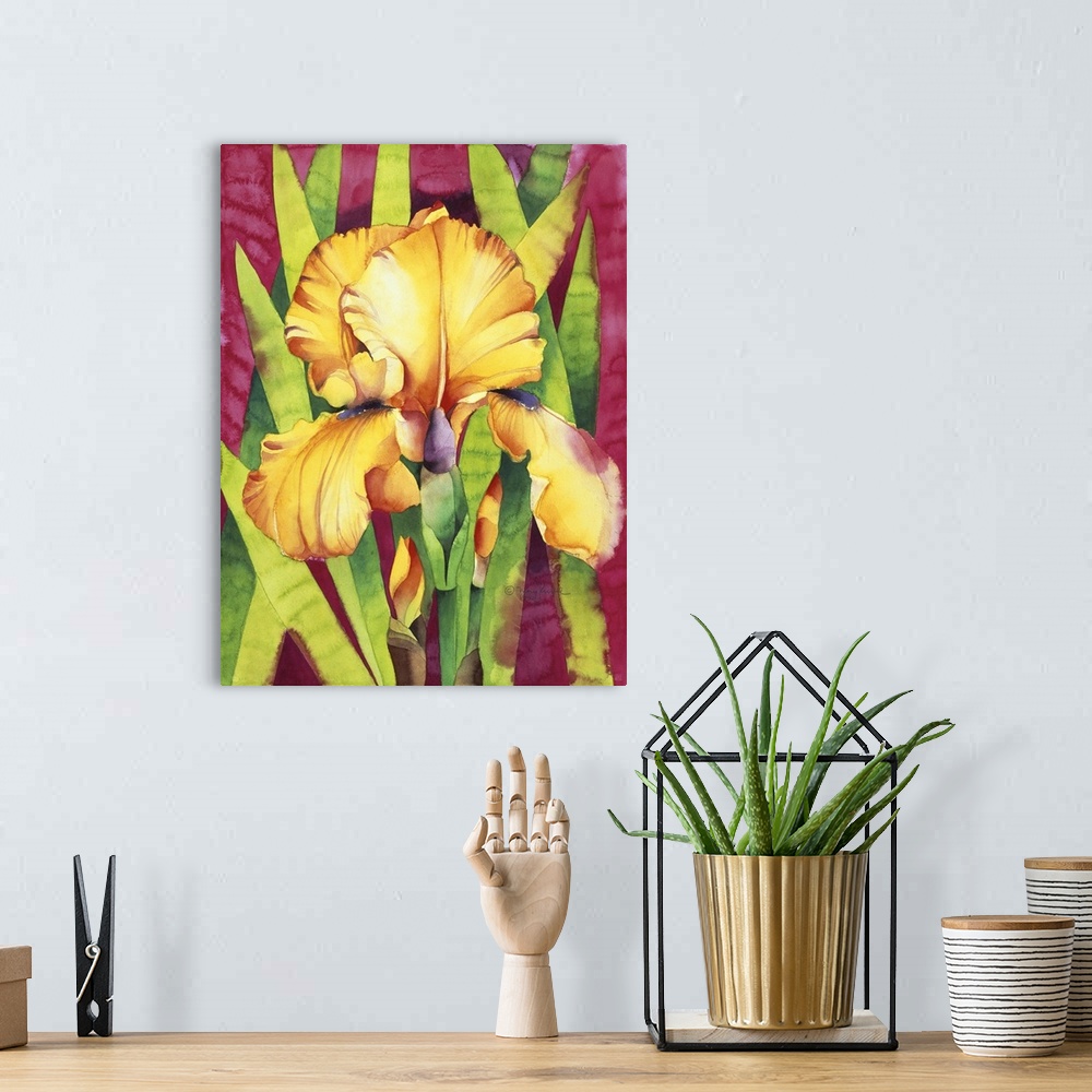 A bohemian room featuring Yellow Iris with Maroon Back