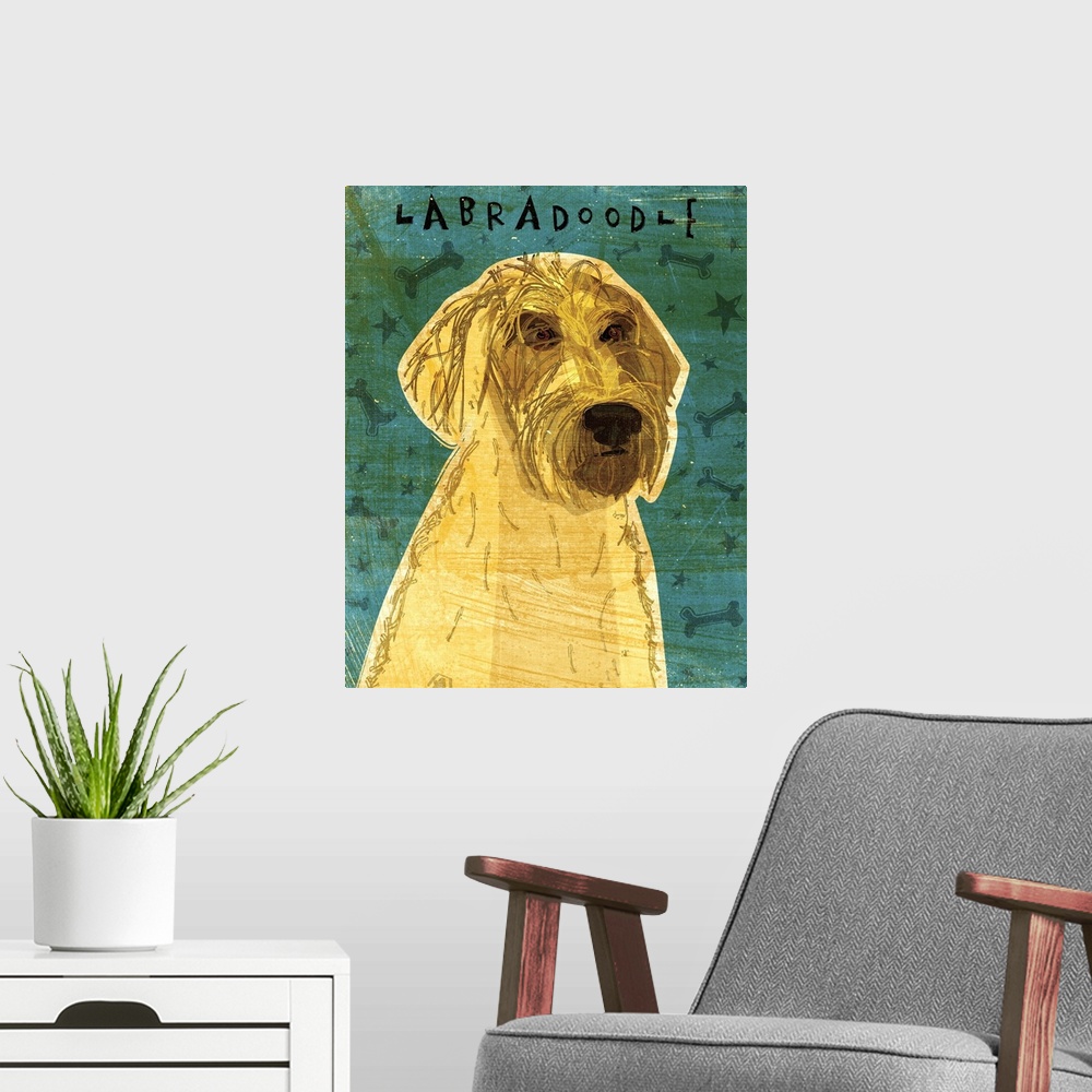 A modern room featuring Yellow Labradoodle