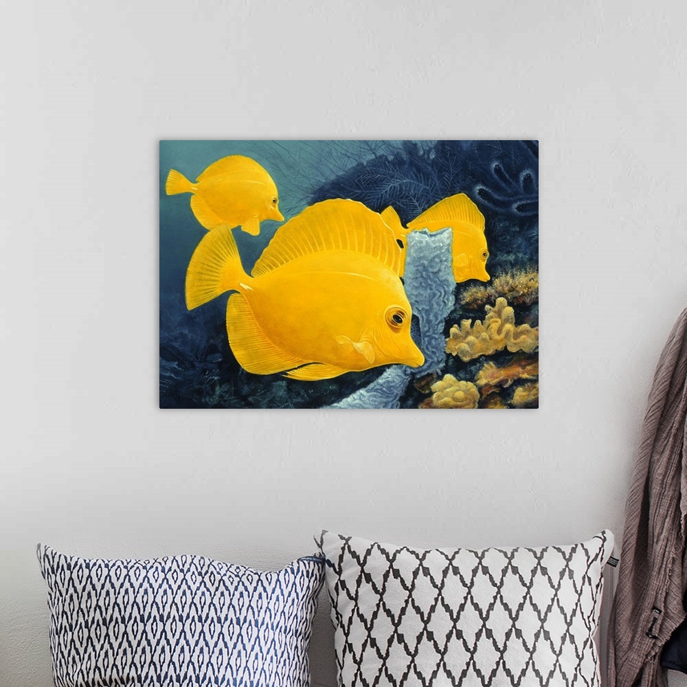 A bohemian room featuring Contemporary painting of tropical fish swimming together.