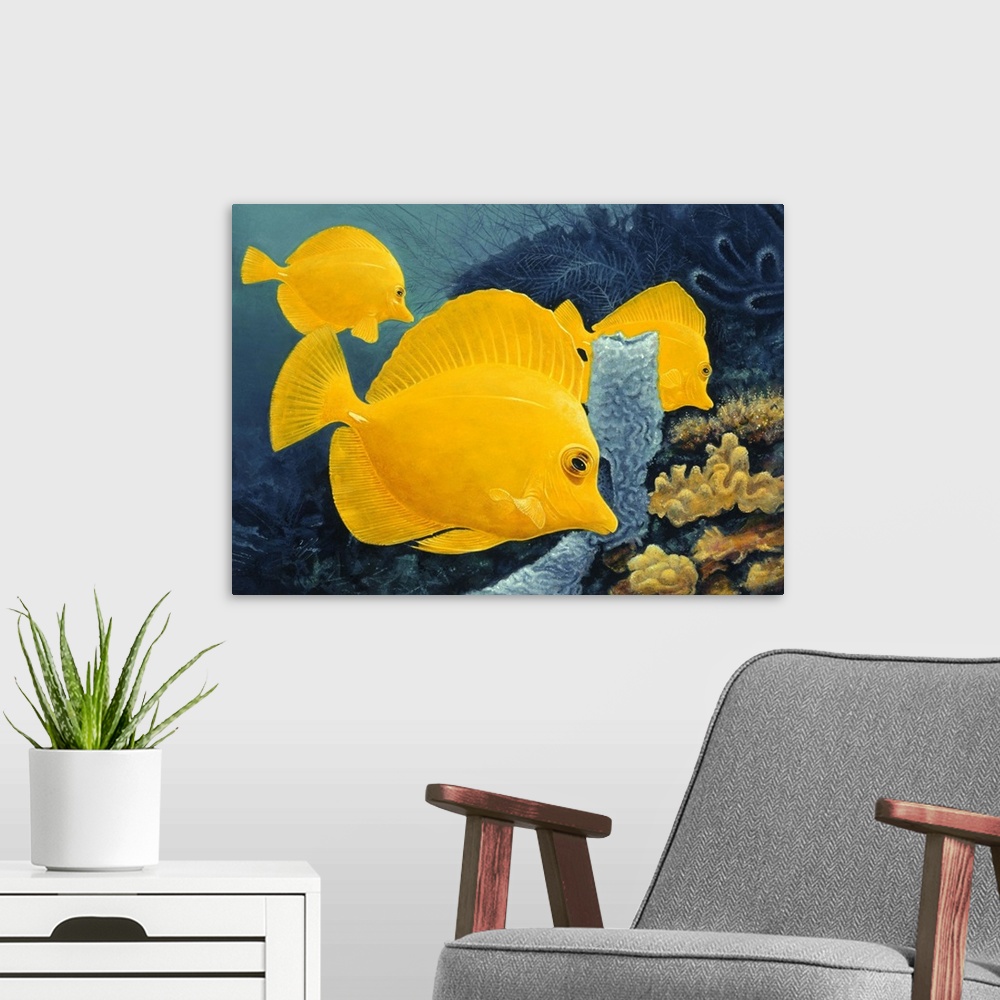 A modern room featuring Contemporary painting of tropical fish swimming together.