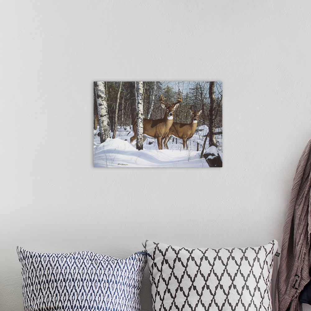 A bohemian room featuring Buck and a doe standing among some trees in the snow deer.