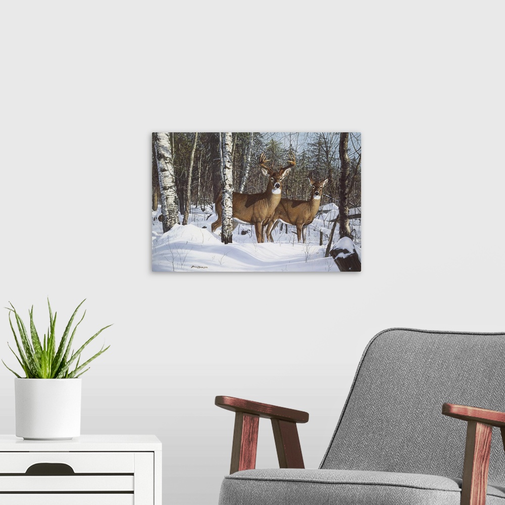 A modern room featuring Buck and a doe standing among some trees in the snow deer.