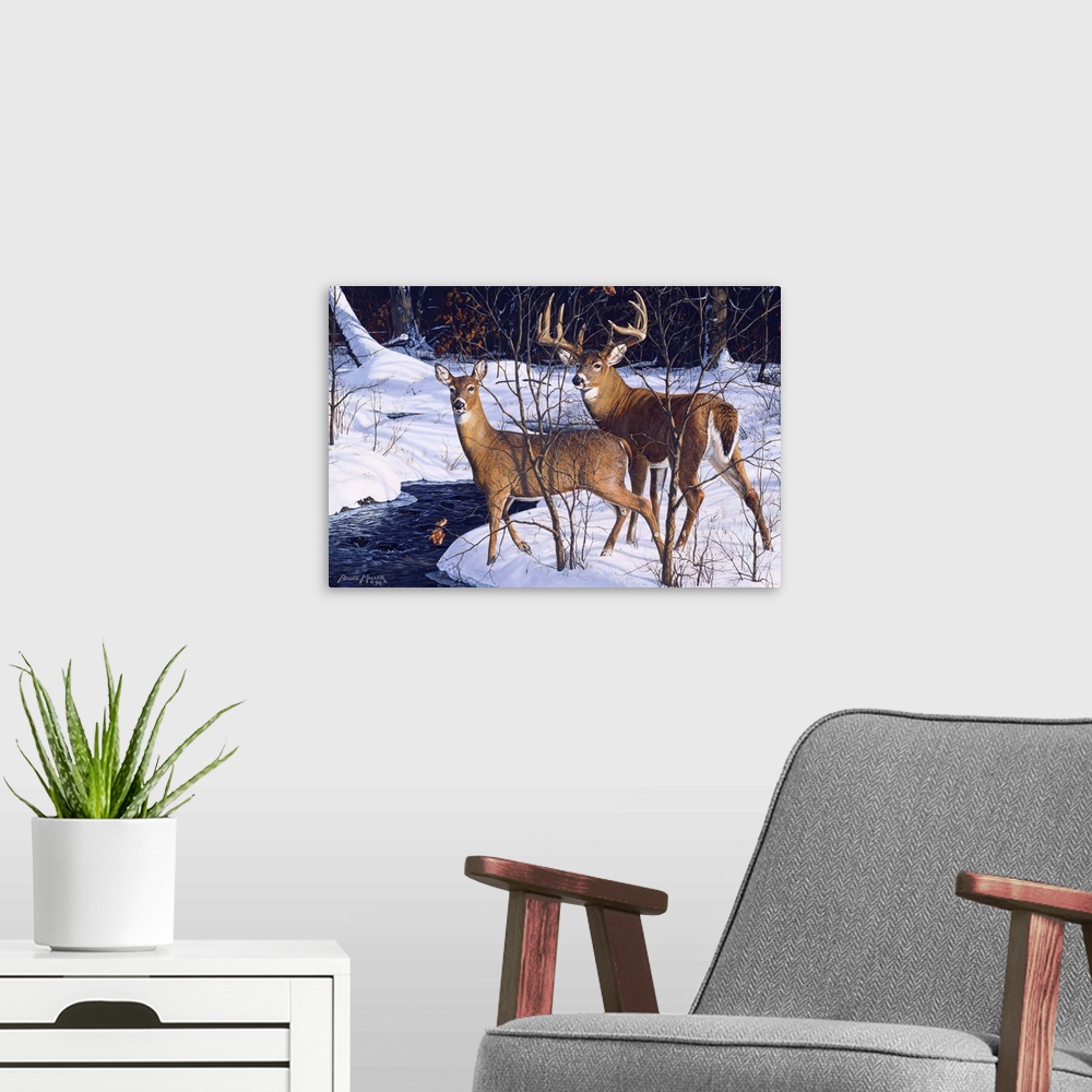 A modern room featuring A buck and a doe standing alert by a stream deer.