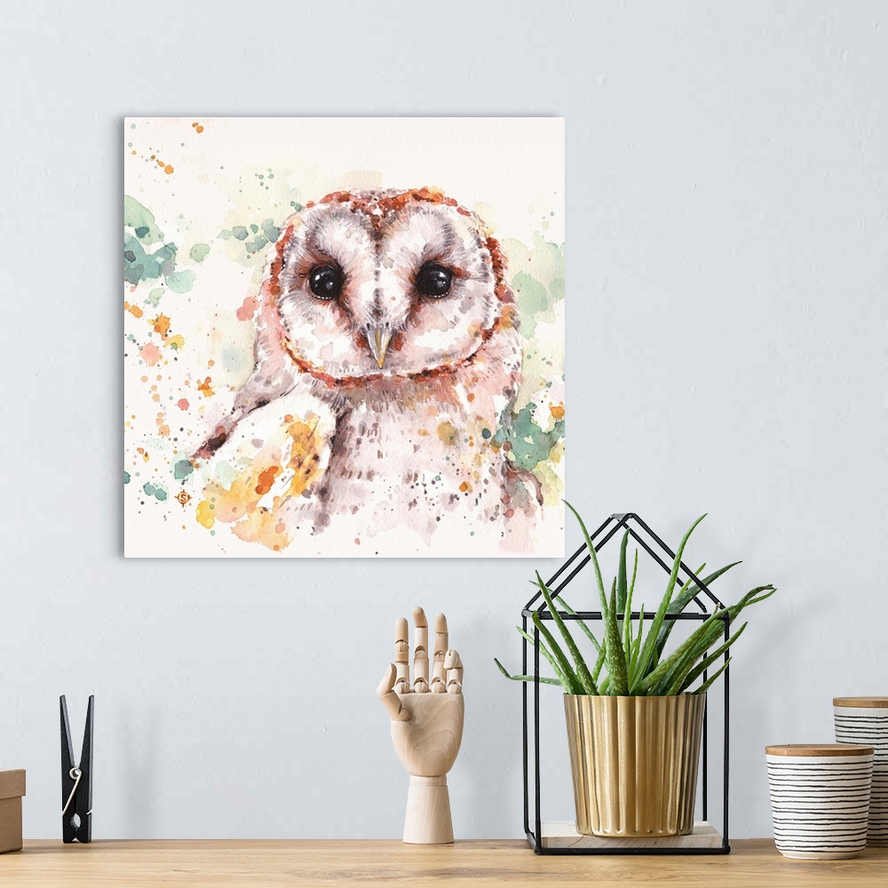A bohemian room featuring Barn Owl