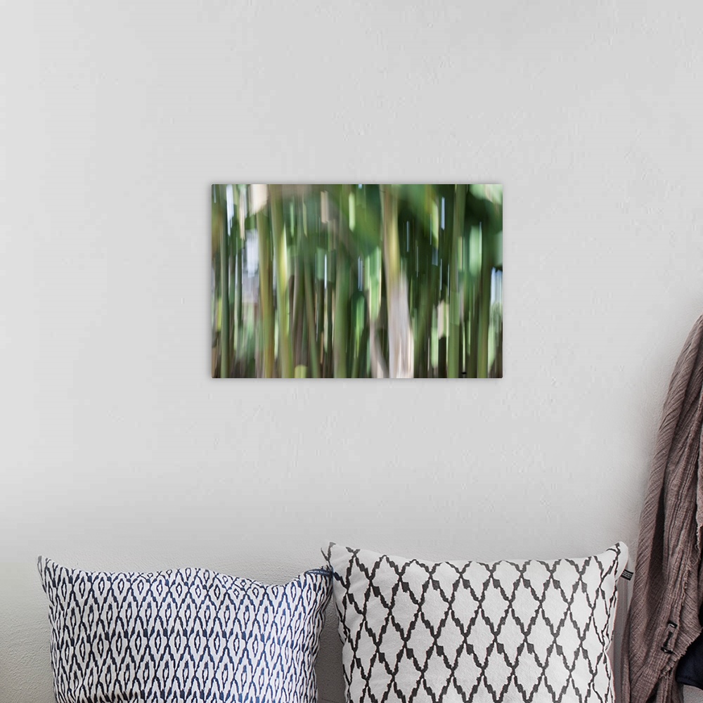 A bohemian room featuring Impressionist photograph taken in a botanic gardens bamboo section.