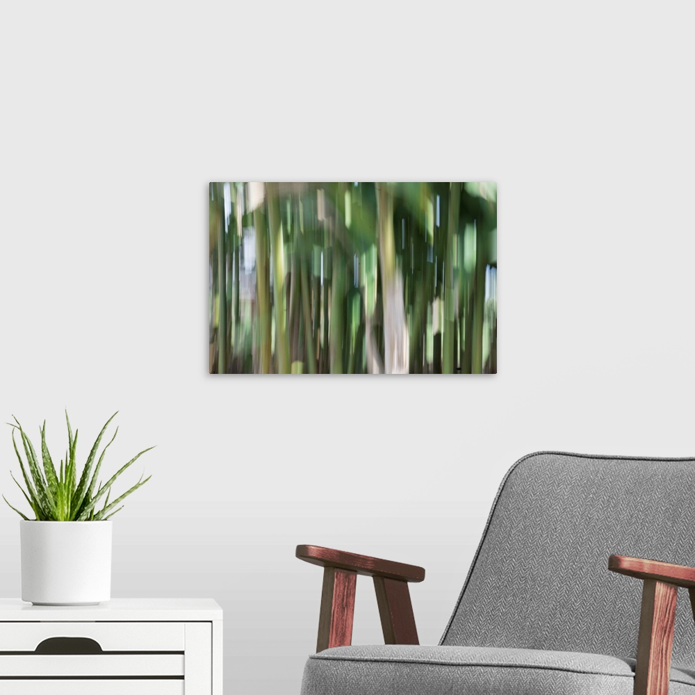 A modern room featuring Impressionist photograph taken in a botanic gardens bamboo section.