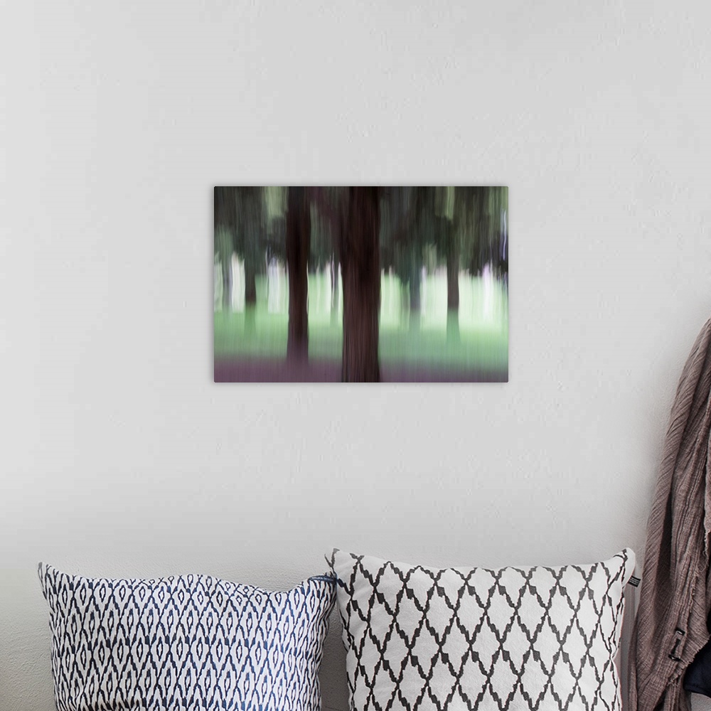 A bohemian room featuring Impressionist photograph taken in a botanic garden's forest section.