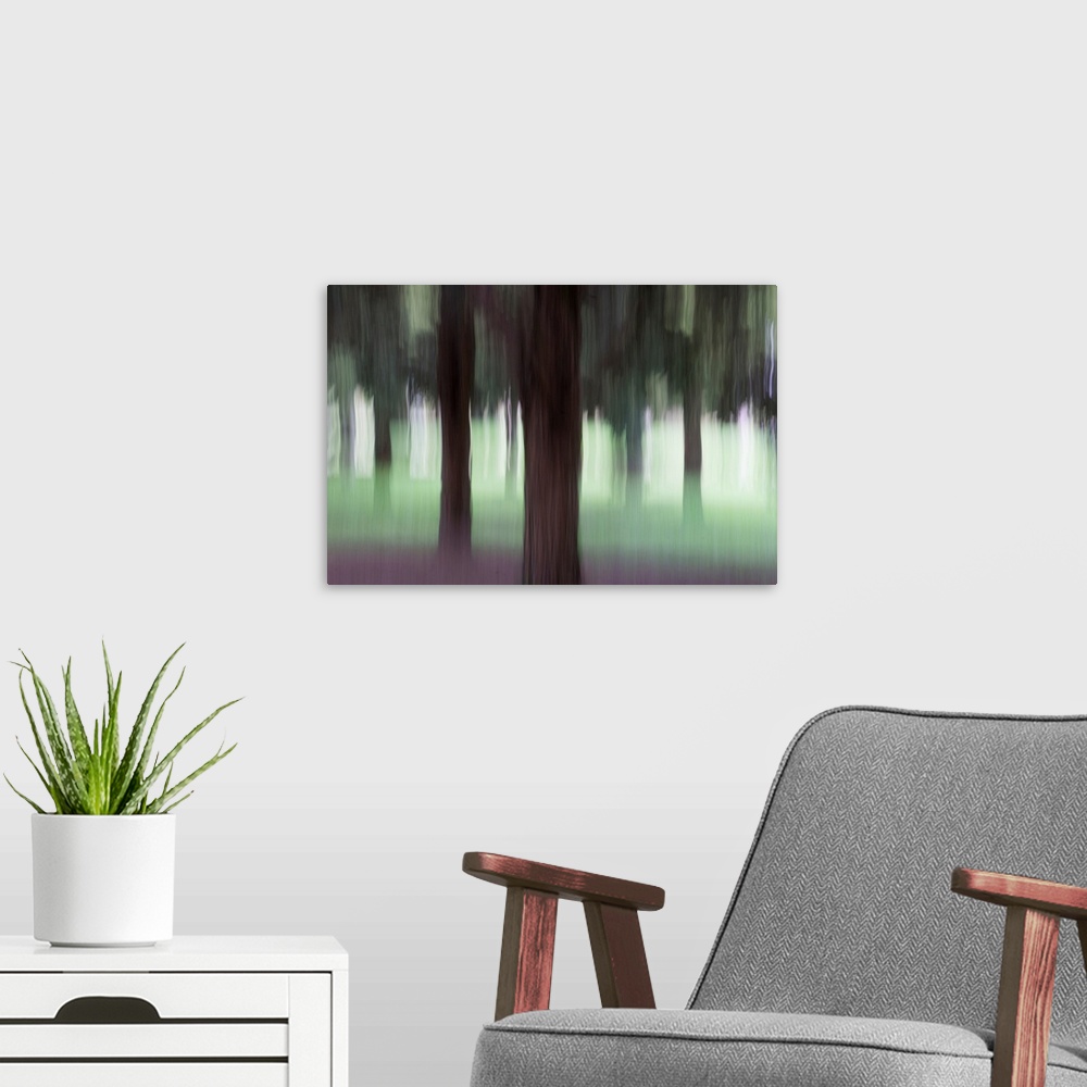 A modern room featuring Impressionist photograph taken in a botanic garden's forest section.