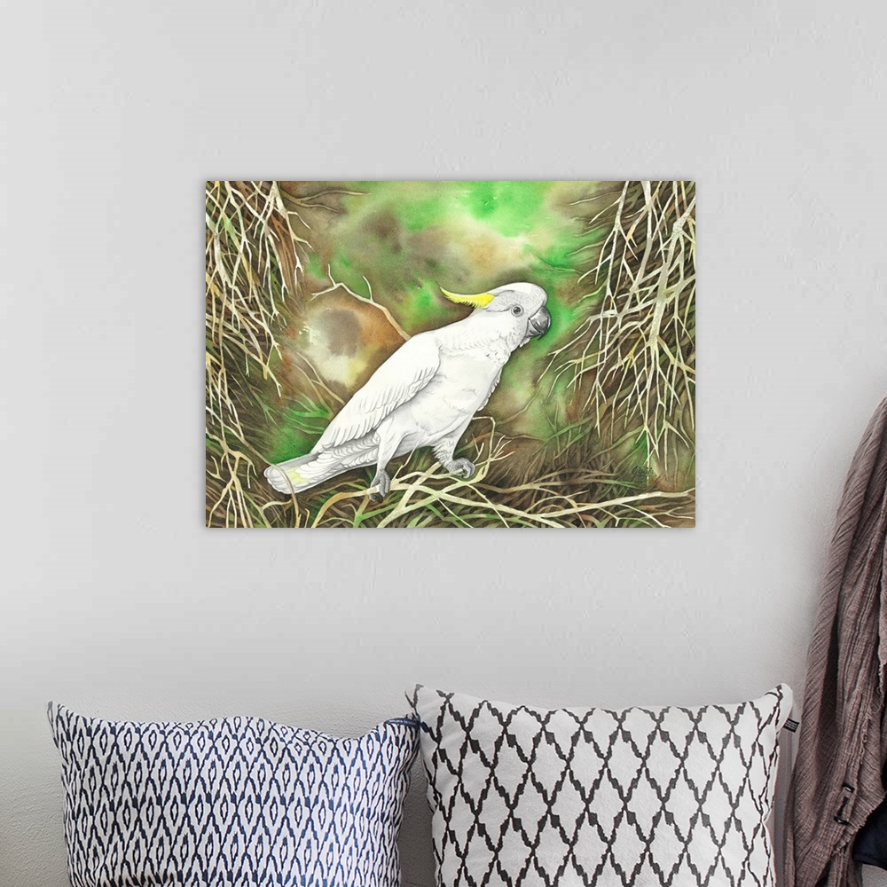 A bohemian room featuring The Sulphur-crested cockatoo is a relatively large white cockatoo found in wooded habitats in Aus...