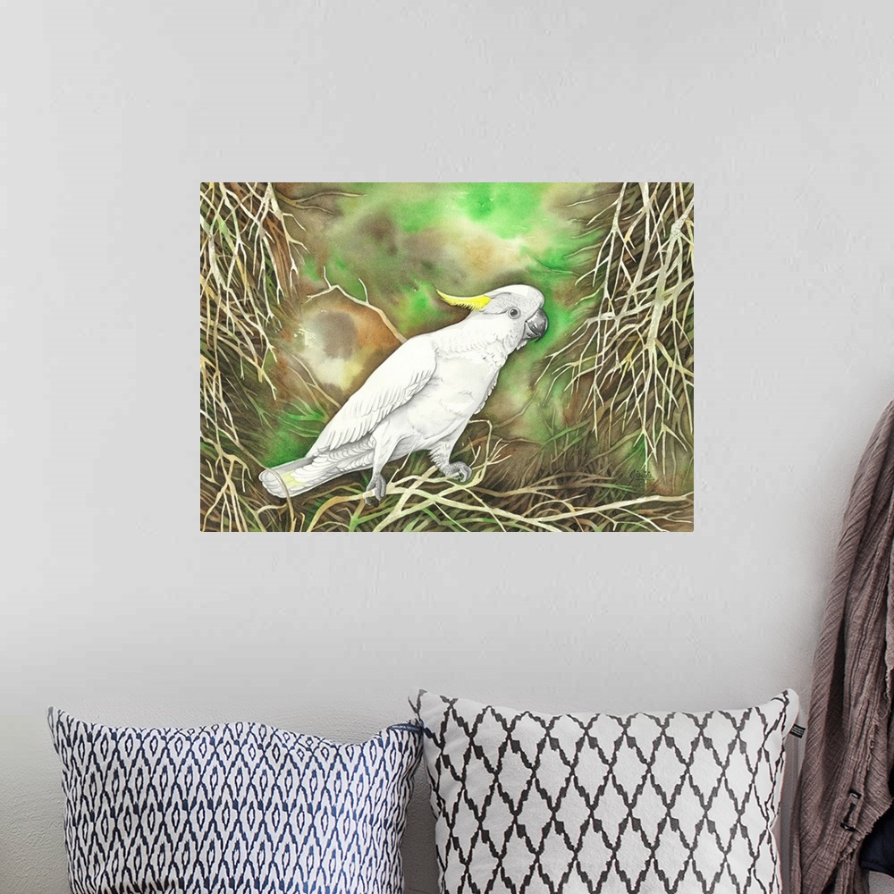 A bohemian room featuring The Sulphur-crested cockatoo is a relatively large white cockatoo found in wooded habitats in Aus...