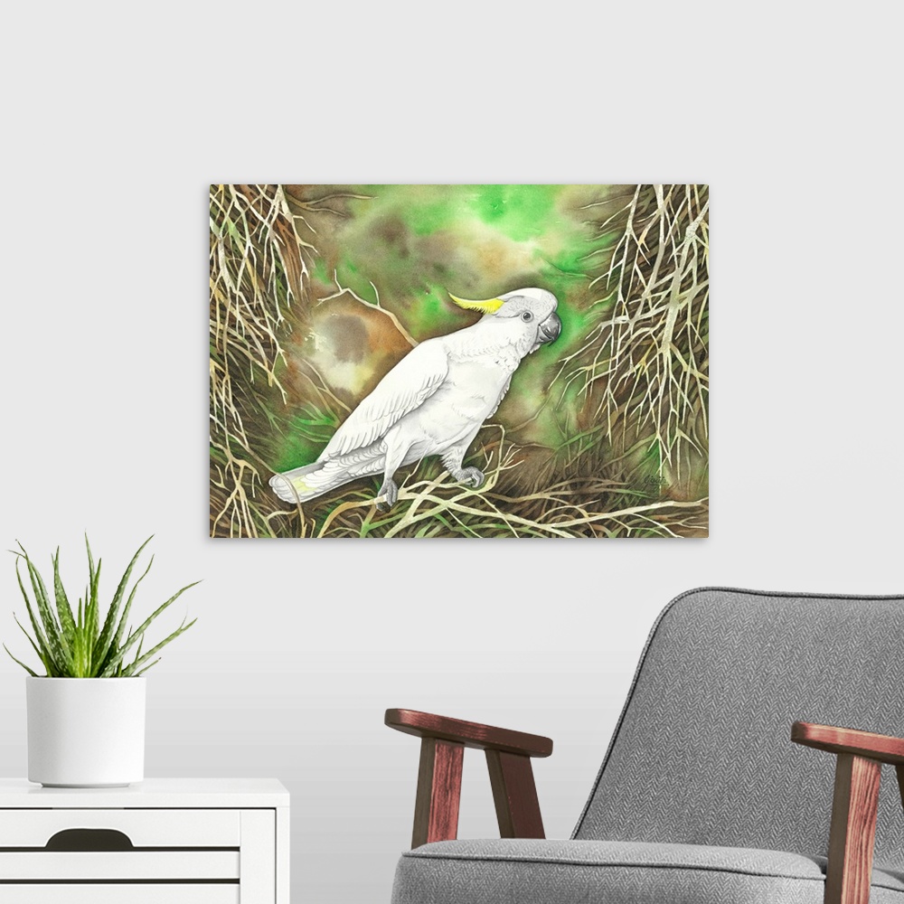 A modern room featuring The Sulphur-crested cockatoo is a relatively large white cockatoo found in wooded habitats in Aus...