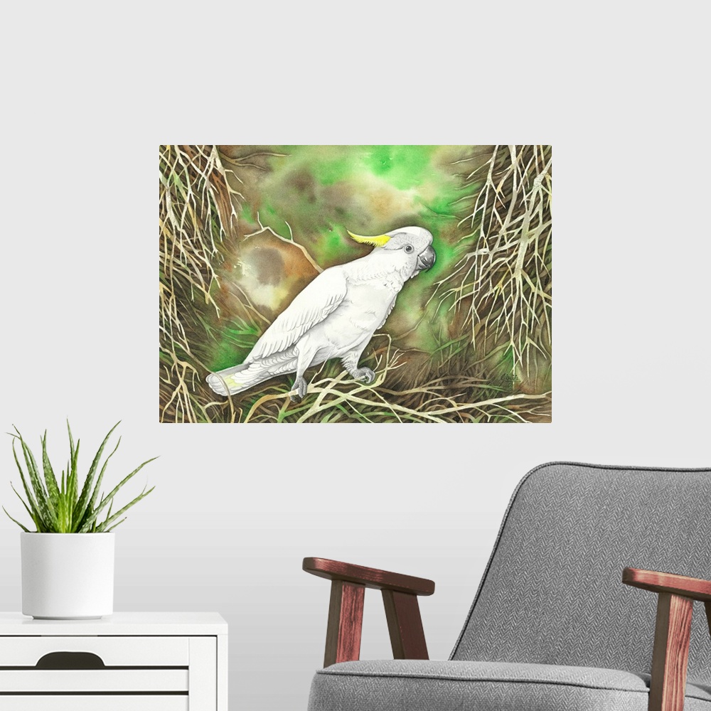 A modern room featuring The Sulphur-crested cockatoo is a relatively large white cockatoo found in wooded habitats in Aus...