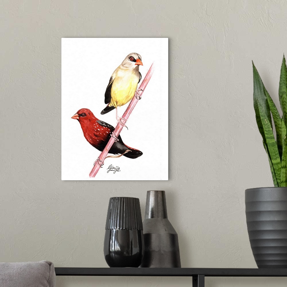 A modern room featuring A pair of beautiful finch birds with the detail work bright colors painted in watercolor on paper.