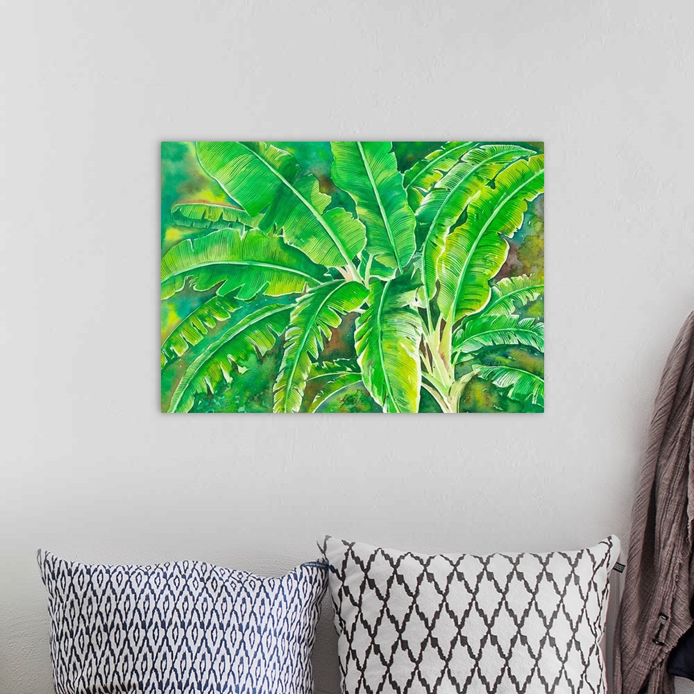 A bohemian room featuring This tropical large leafy banana tree is in reach green color painted in watercolor on paper.