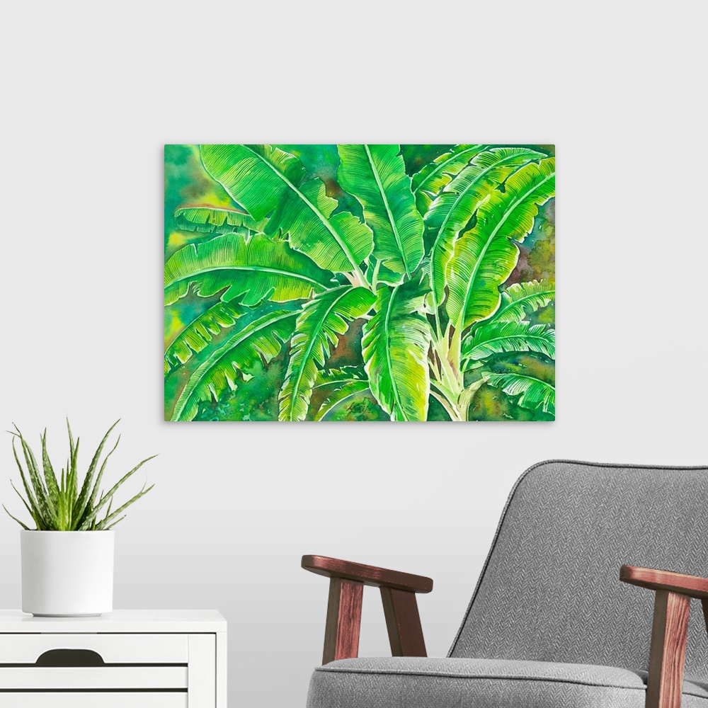 A modern room featuring This tropical large leafy banana tree is in reach green color painted in watercolor on paper.
