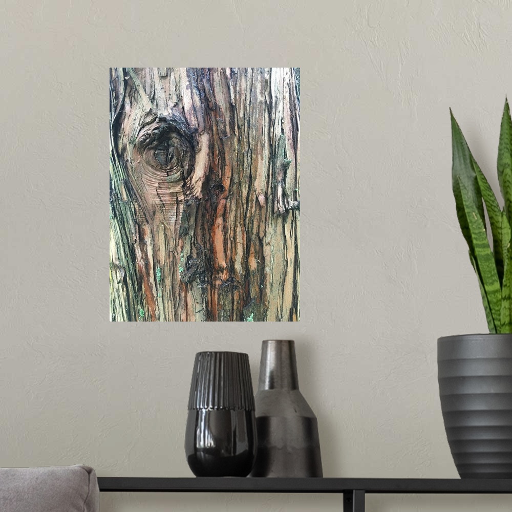 A modern room featuring Abstract photograph of a tree close up with texture of the barks.
