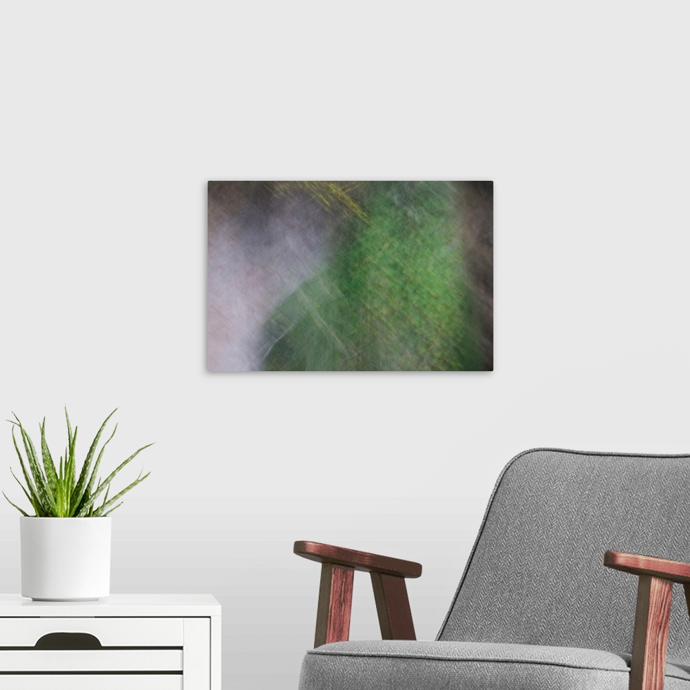 A modern room featuring Abstract photograph of a calm ambience of green.