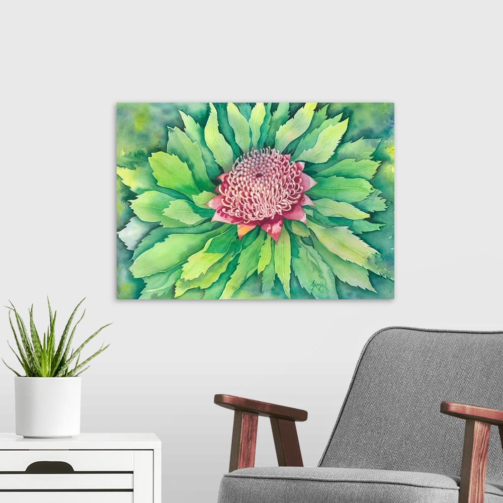 A modern room featuring An Australian red colored wild flower "waratah" is painted in watercolor on paper.