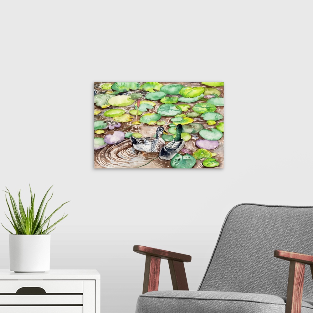 A modern room featuring The mallard is a dabbling duck, this male mallard is unmistakable, with a glossy bottle-green hea...