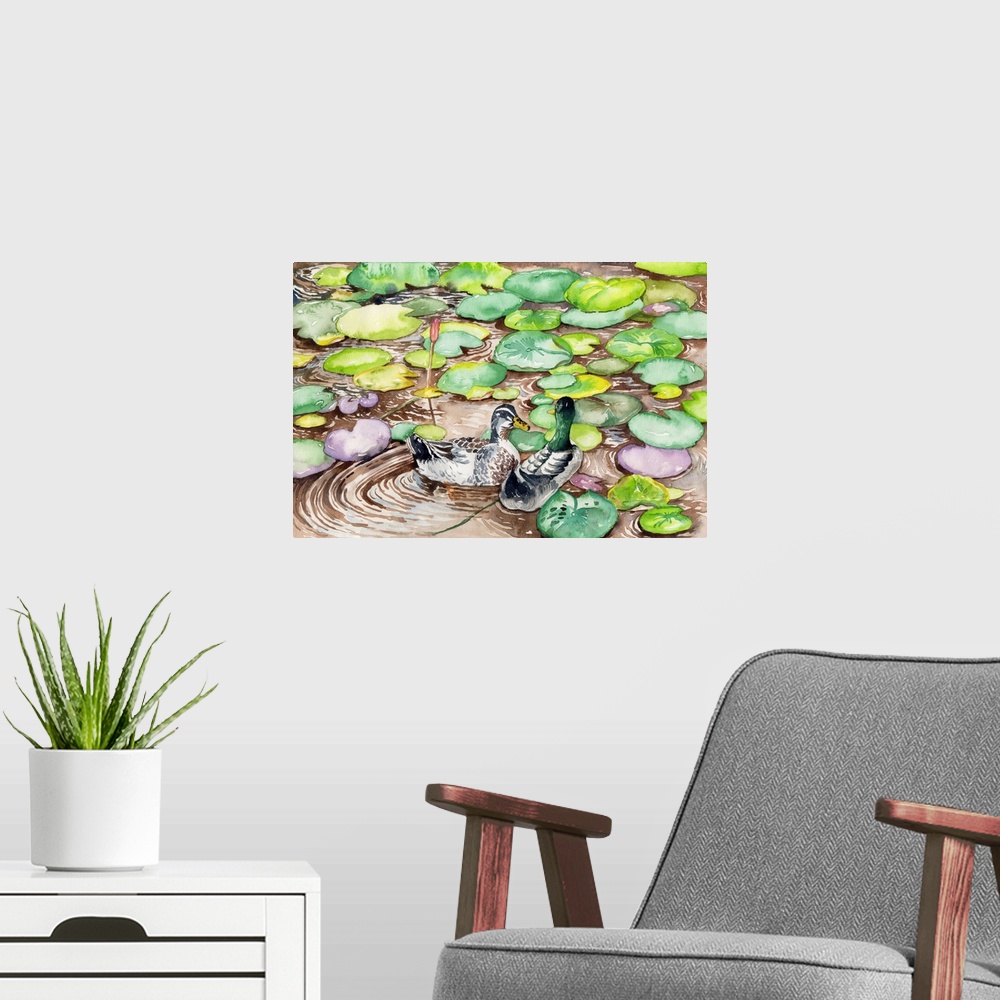 A modern room featuring The mallard is a dabbling duck, this male mallard is unmistakable, with a glossy bottle-green hea...