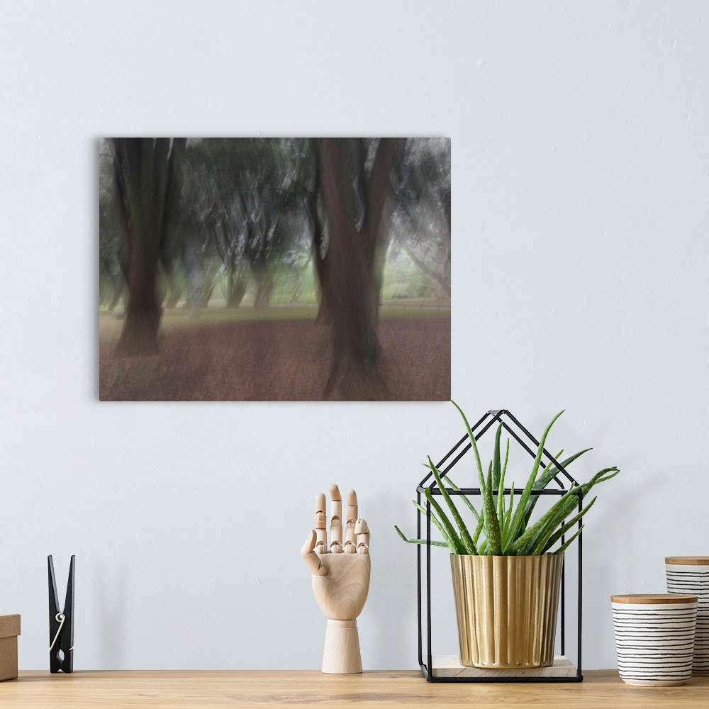A bohemian room featuring Impressionist photograph taken in the Auckland domain with trees and a calm ambience.