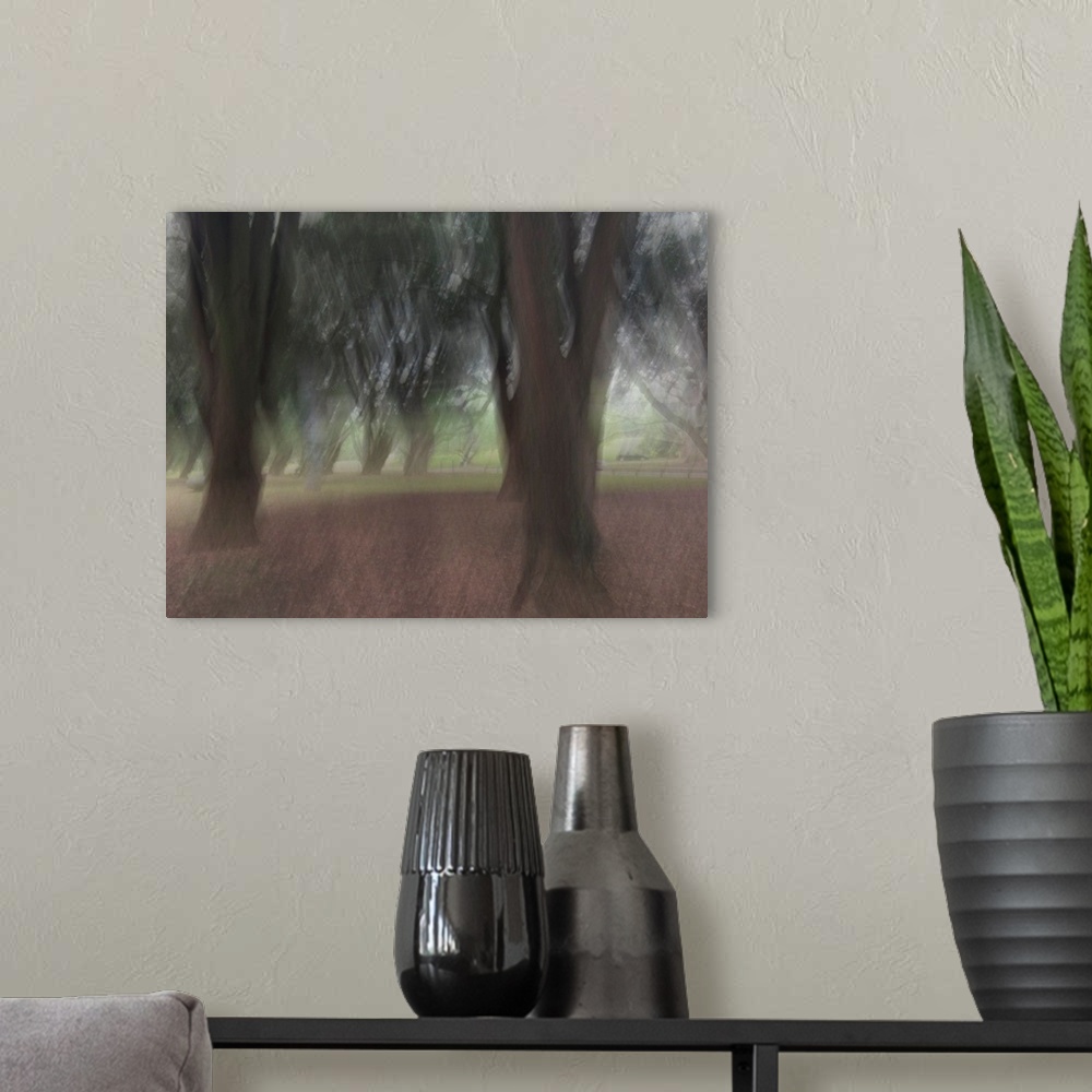 A modern room featuring Impressionist photograph taken in the Auckland domain with trees and a calm ambience.
