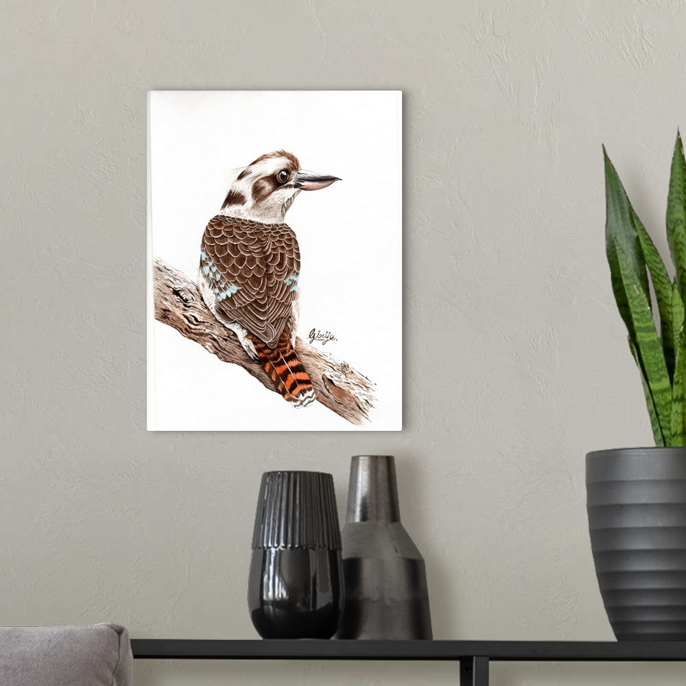 A modern room featuring The laughing kookaburra is native to eastern mainland Australia, the upperparts are mostly dark b...
