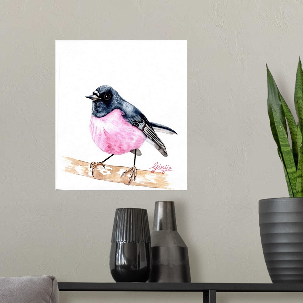A modern room featuring The rose robin is a small passerine bird native to Australia. The male has a distinctive pink bre...