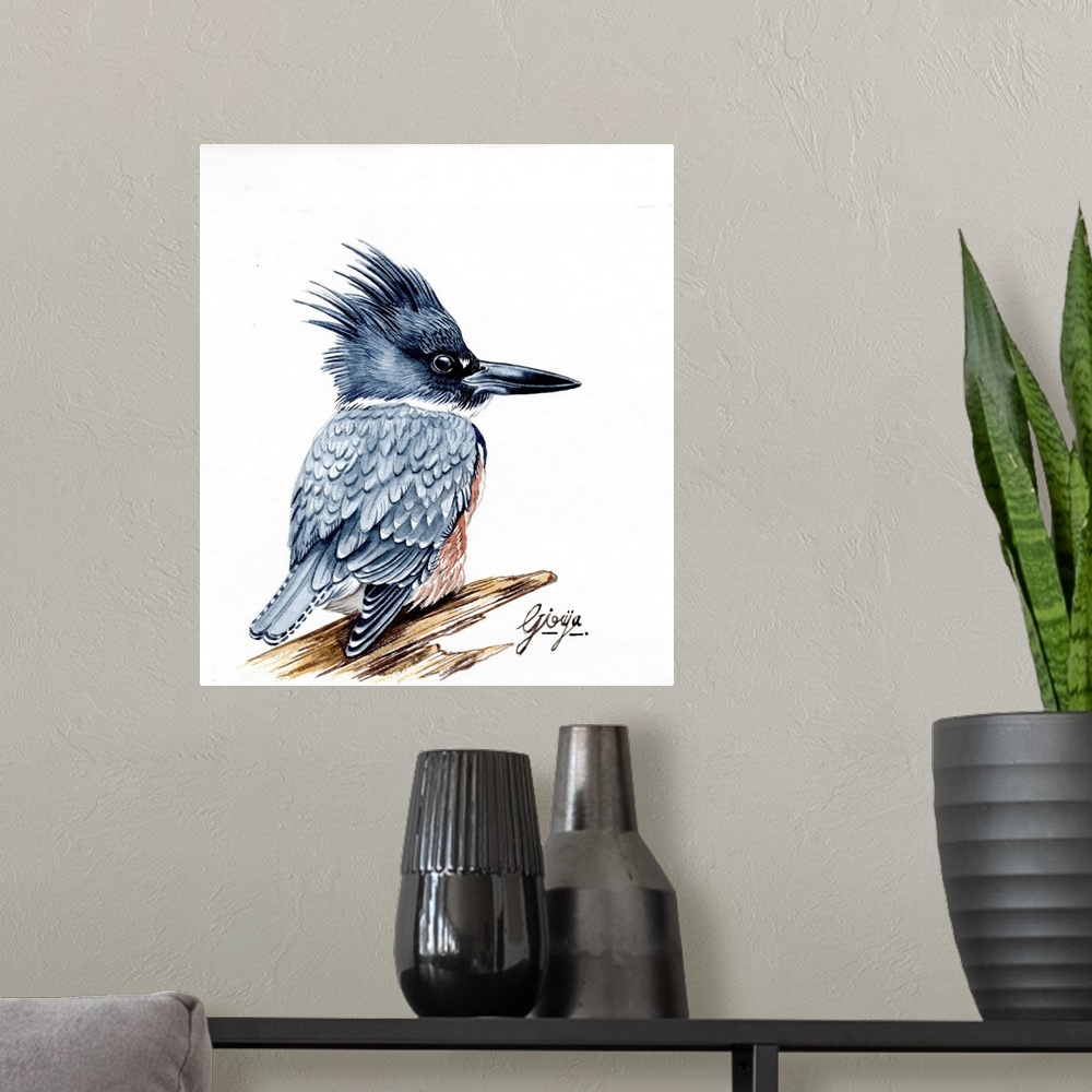 A modern room featuring The belted kingfisher is a stocky, medium-sized bird; this species has a large head with a shaggy...